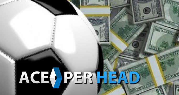 Pay Per Head Dummies