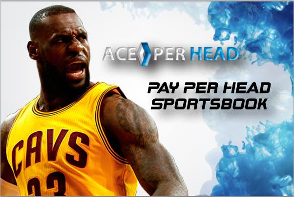Pay Per Head Agents