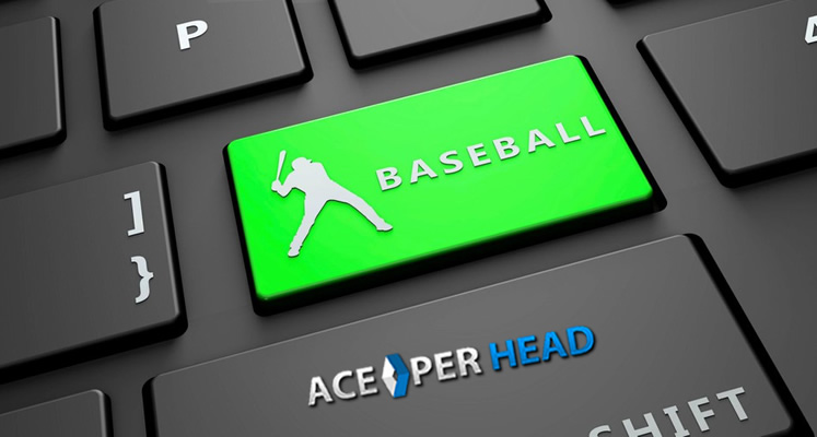 Baseball Bookie Software