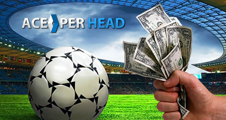 Software for Bookies