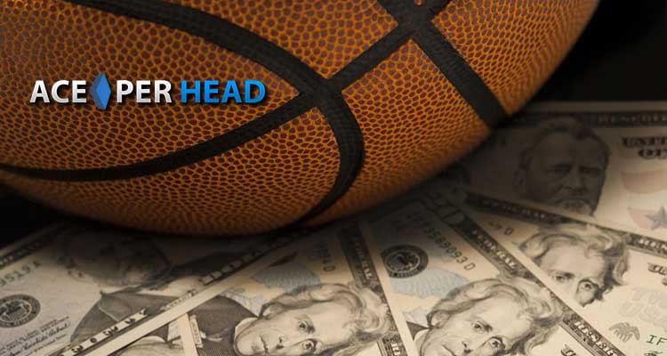 Sportsbook Software