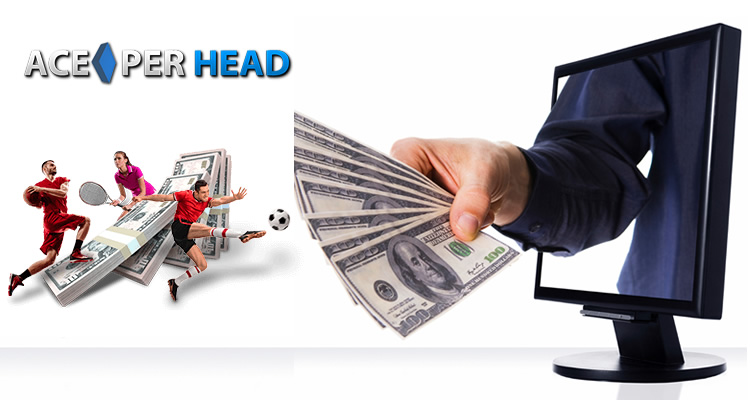 Bookie Software Program