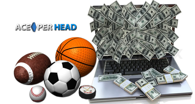 Price Per Head Services