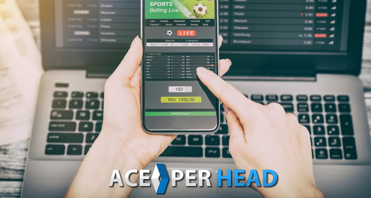 What is Pay Per Head? (Bookie Guide), Professional Sportsbook Software
