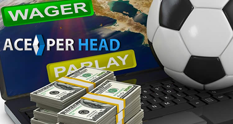 Bookmaker Platform Bookie Agent Story
