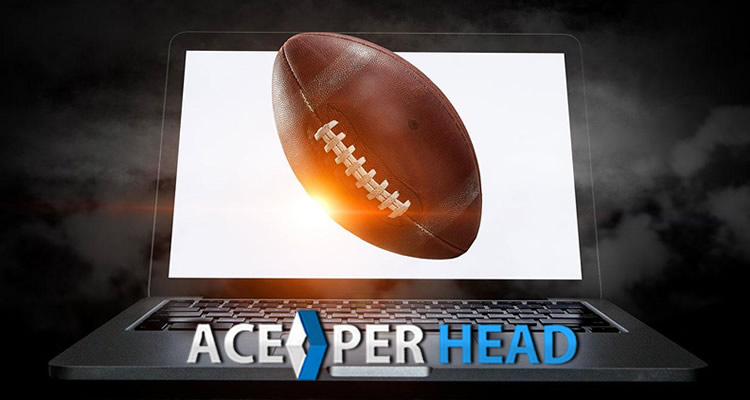 Bookie Software for Free