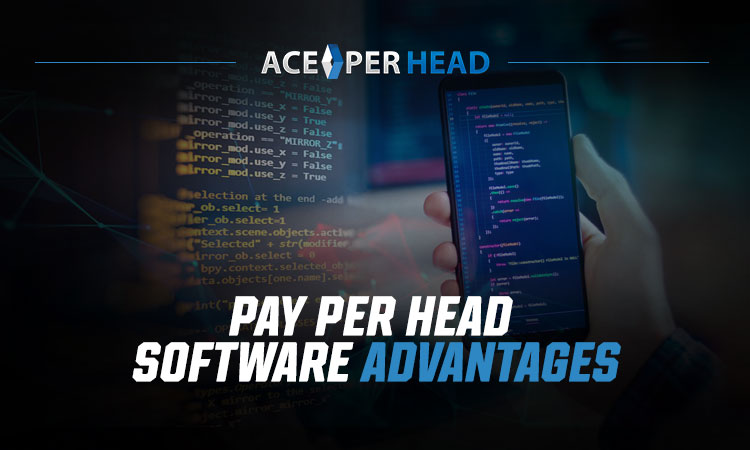Pay Per Head Software