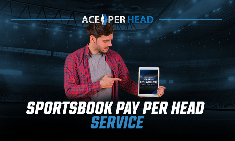 Sportsbook Pay Per Head Service