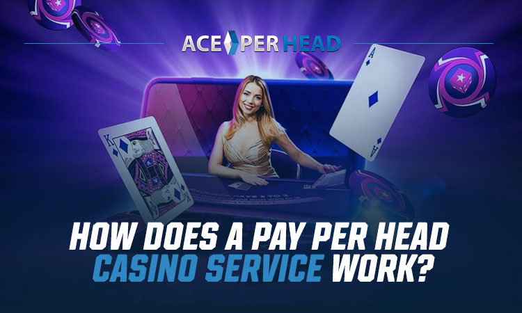 Pay Per Head Casino Services