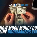 How Much Money Do Online Bookmakers Earn?