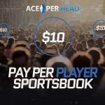 Pay Per Player Sportsbook