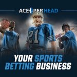 Your Sports Betting Business
