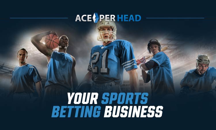 Sports Betting Business: