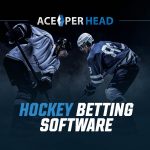 Your Guide to Hockey Betting Software