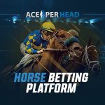 How to Navigate a Horse Betting Platform