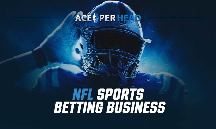 NFL Sports Betting Business